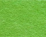 Lime Green Lime Green