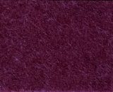 Plum Purple Plum Purple